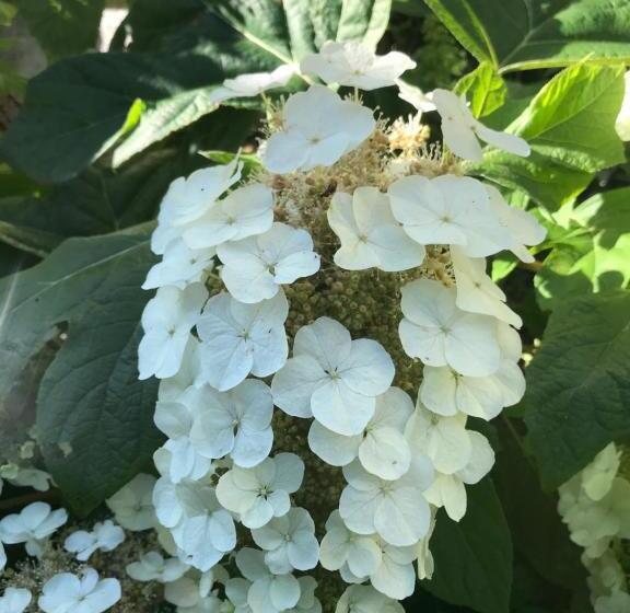 צימר Chambre Privative Et Originale, à 20 Mn De Cluny