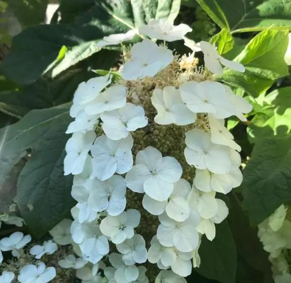 Aamiaismajoitus (B&B) Chambre Privative Et Originale, à 20 Mn De Cluny