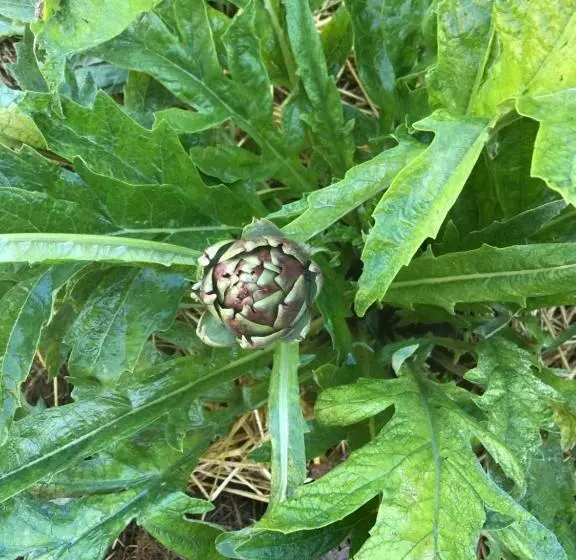 Aamiaismajoitus (B&B) Chambre Privative Et Originale, à 20 Mn De Cluny