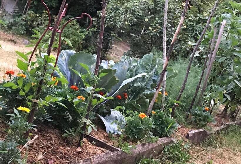 צימר Chambre Privative Et Originale, à 20 Mn De Cluny