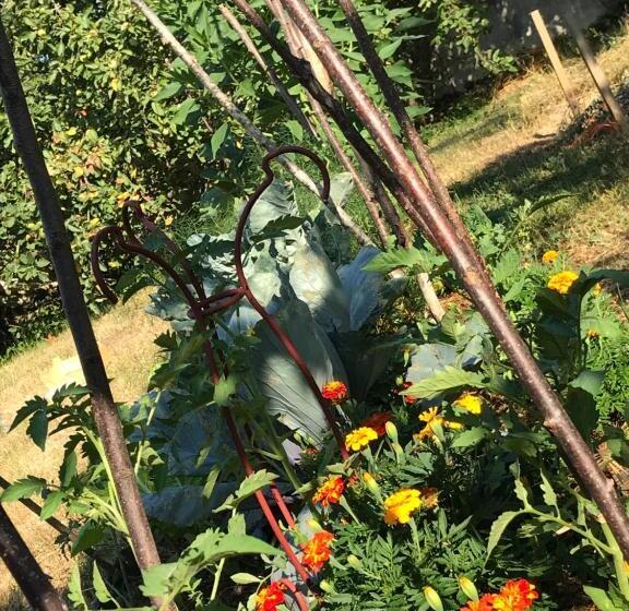 צימר Chambre Privative Et Originale, à 20 Mn De Cluny