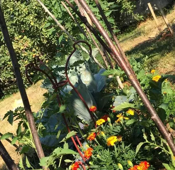 Aamiaismajoitus (B&B) Chambre Privative Et Originale, à 20 Mn De Cluny