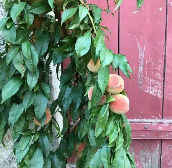 Aamiaismajoitus (B&B) Chambre Privative Et Originale, à 20 Mn De Cluny