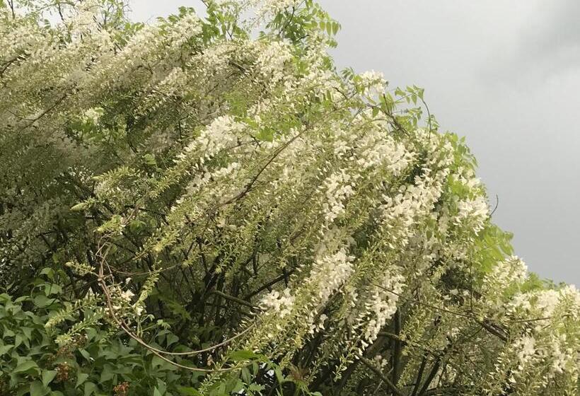 צימר Chambre Privative Et Originale, à 20 Mn De Cluny