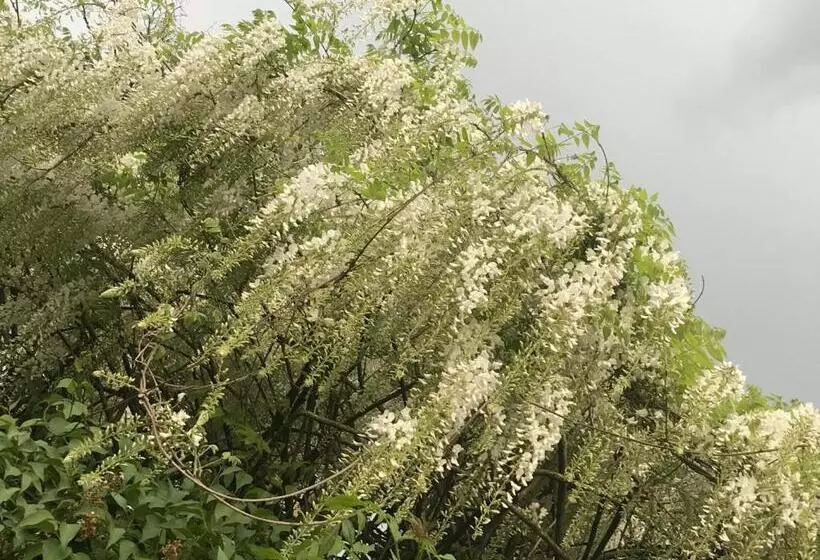 Aamiaismajoitus (B&B) Chambre Privative Et Originale, à 20 Mn De Cluny