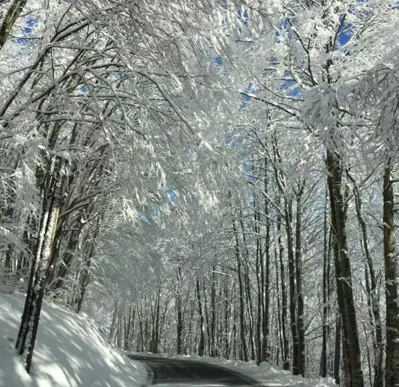 ベッドアンドブレックファースト Château De Sothonod