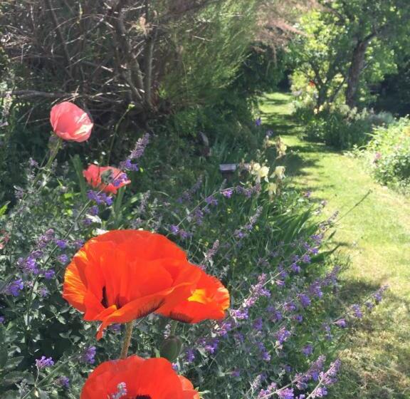 ベッドアンドブレックファースト Château De Sothonod