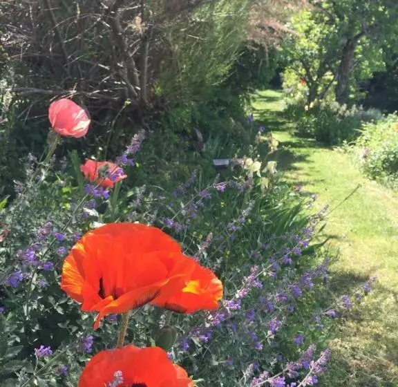 ベッドアンドブレックファースト Château De Sothonod