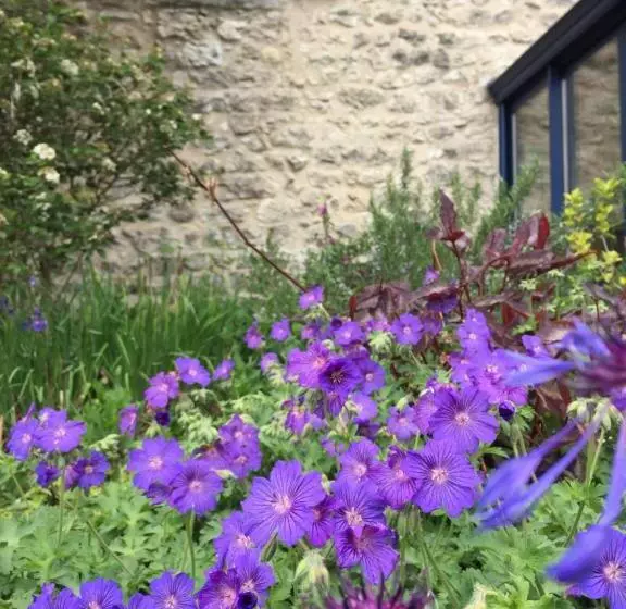 ベッドアンドブレックファースト Château De Sothonod