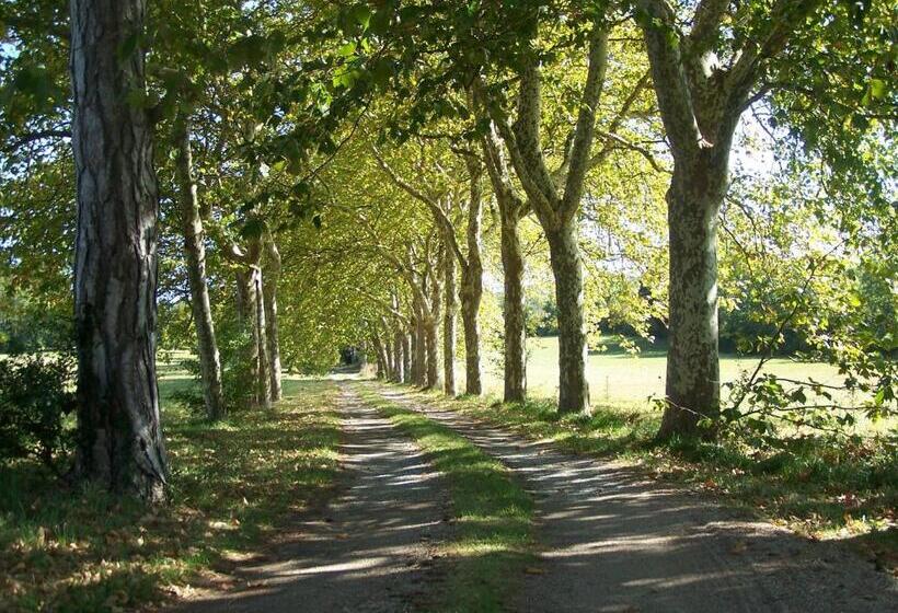 민박 Domaine De Las Planques