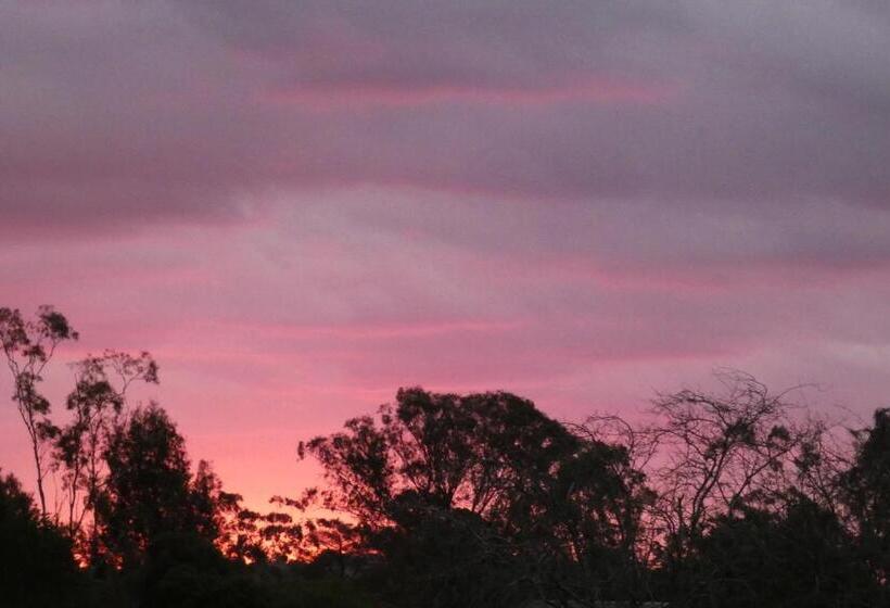 住宿加早餐 Forest Lodge Highfields