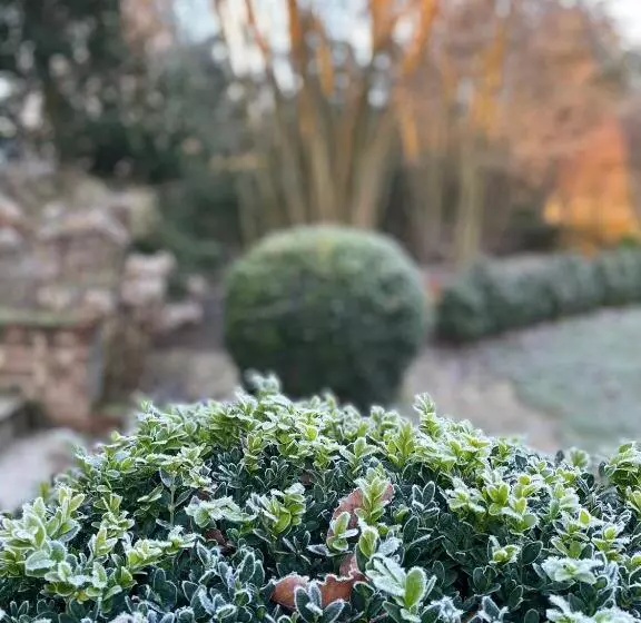 ベッドアンドブレックファースト L Atelier Des Magnolias