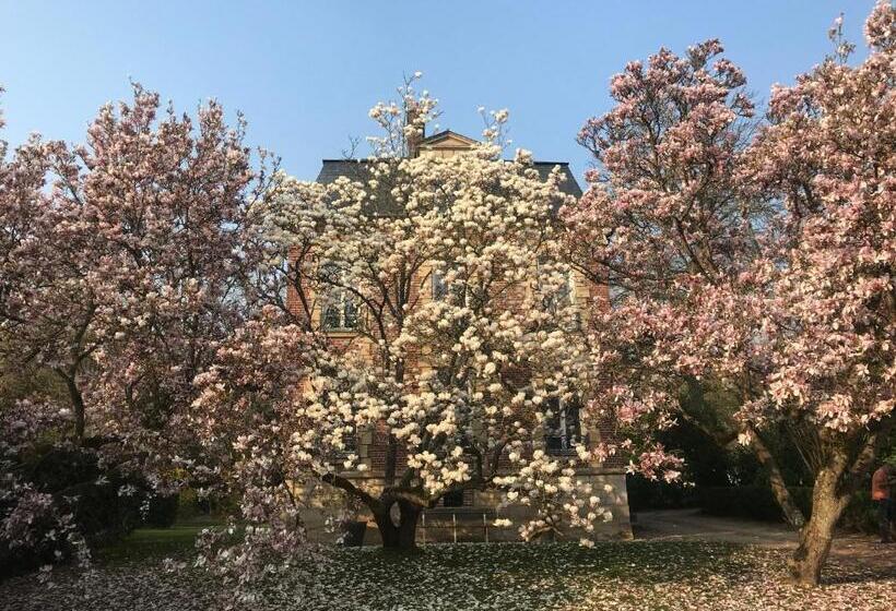 민박 L Atelier Des Magnolias