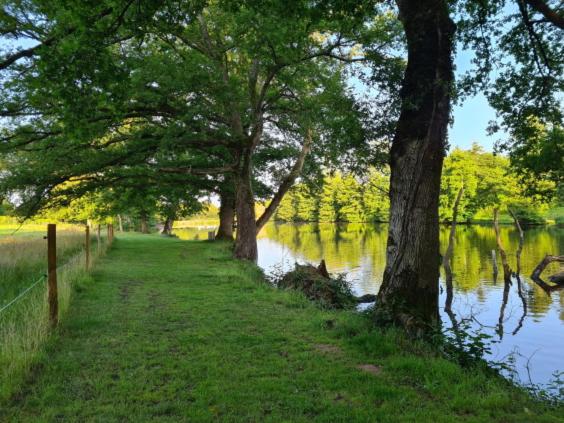Bed and Breakfast L Eléphant Heureux