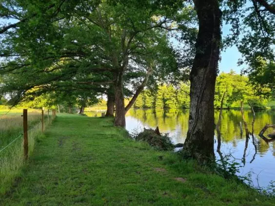 ベッドアンドブレックファースト L Eléphant Heureux