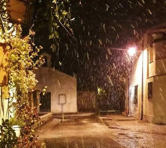 ベッドアンドブレックファースト Sa Corte Nova