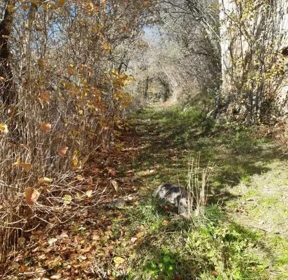 ペンション Affittacamere Da Angela