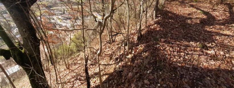 Пансион Affittacamere Da Angela