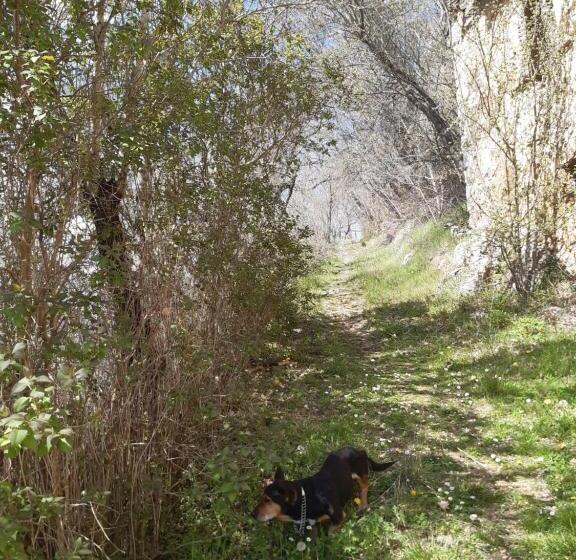 Пансион Affittacamere Da Angela