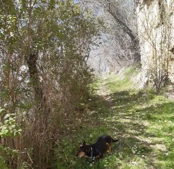 ペンション Affittacamere Da Angela