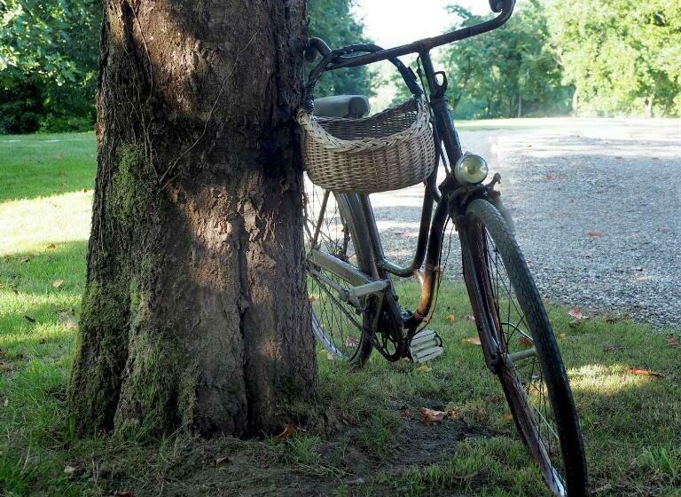 펜션 Le Clos Des Noaillettes