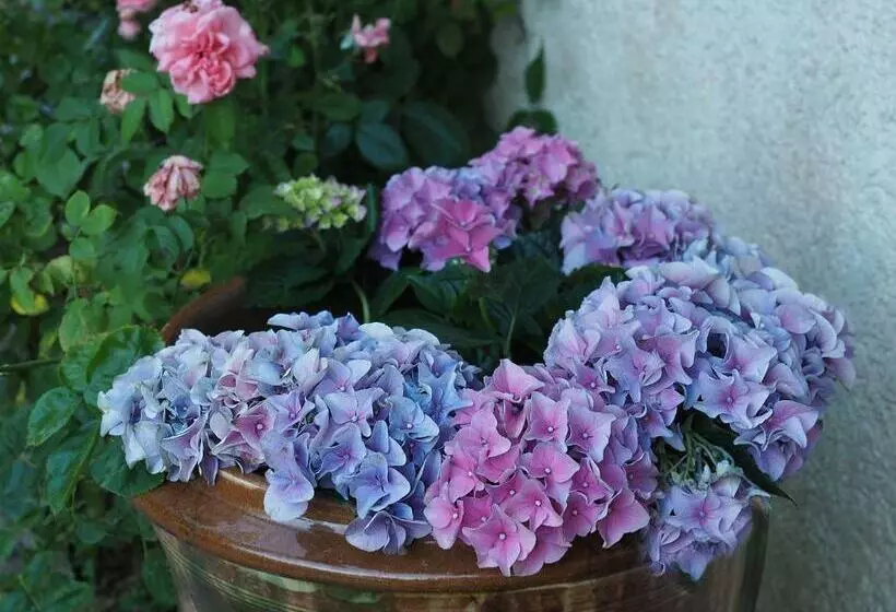 Majatalo Le Clos Des Noaillettes