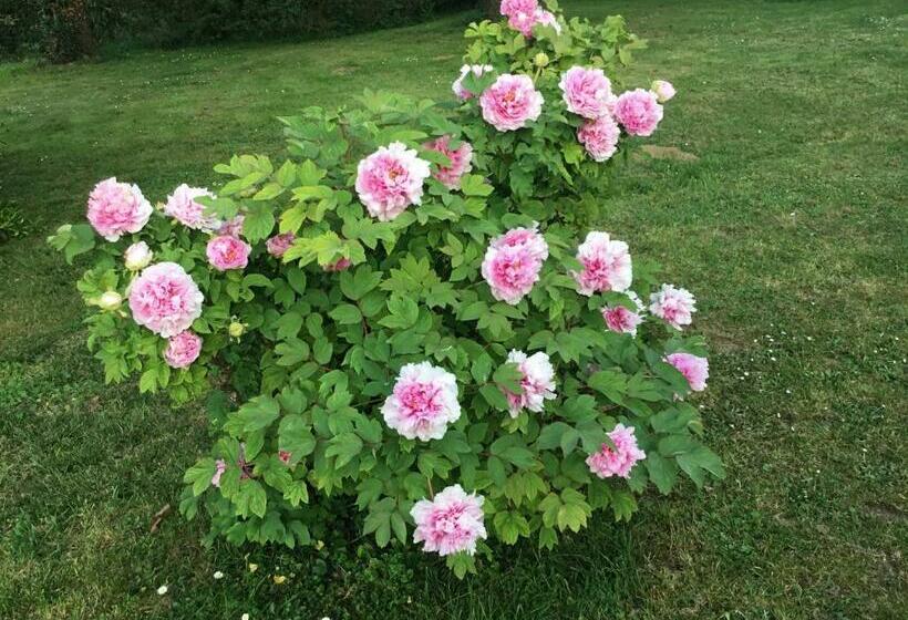 펜션 Le Clos Des Noaillettes