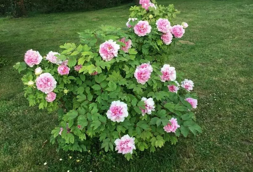 Majatalo Le Clos Des Noaillettes