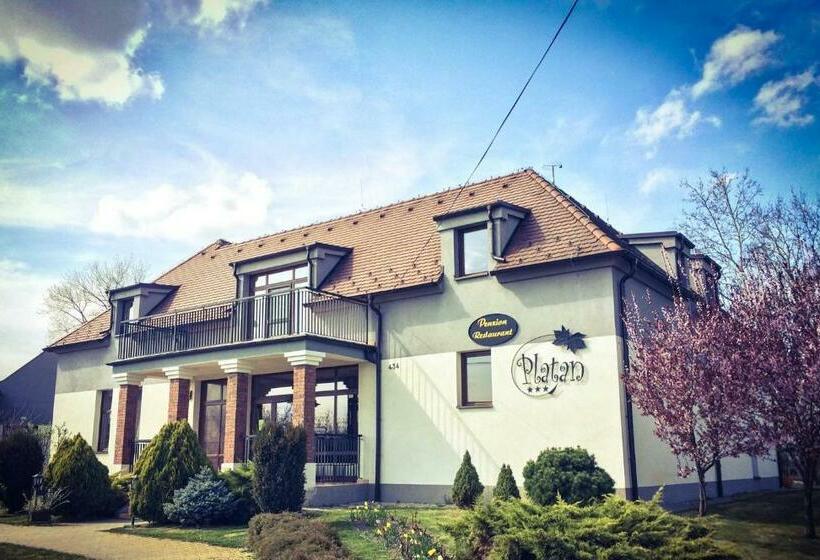펜션 Penzion Platan