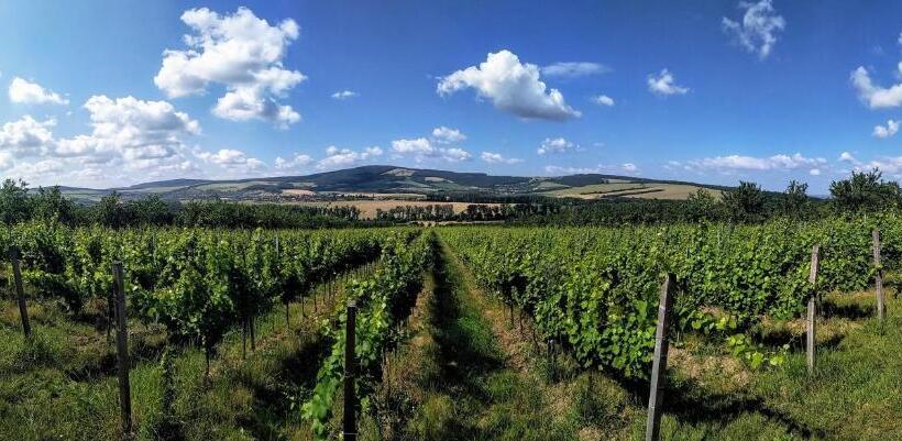 ペンション Penzion V Rodinném Vinařství Kadubcovi