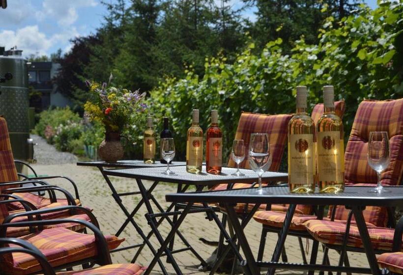 ペンション Penzion V Rodinném Vinařství Kadubcovi