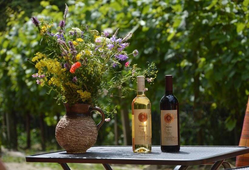 ペンション Penzion V Rodinném Vinařství Kadubcovi