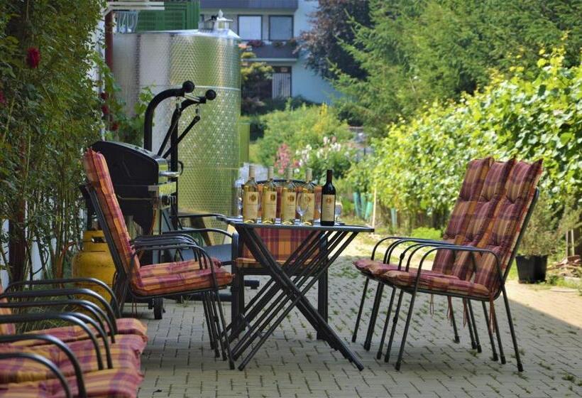 ペンション Penzion V Rodinném Vinařství Kadubcovi