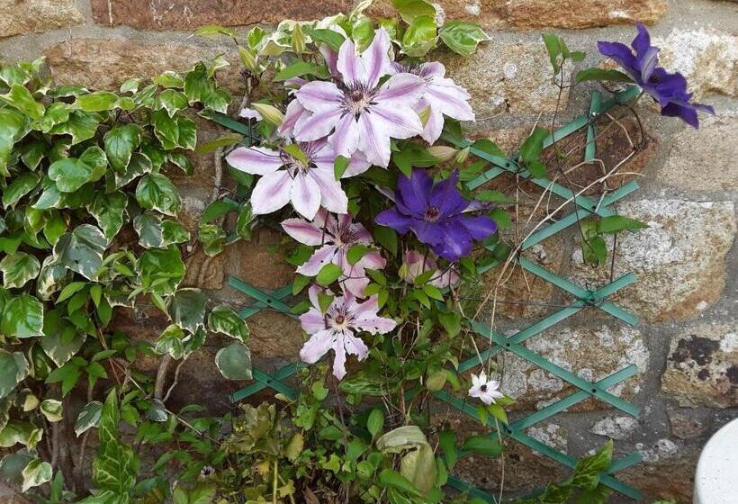 住宿加早餐 Ty Evelyne 11 Kernevez Botmeur