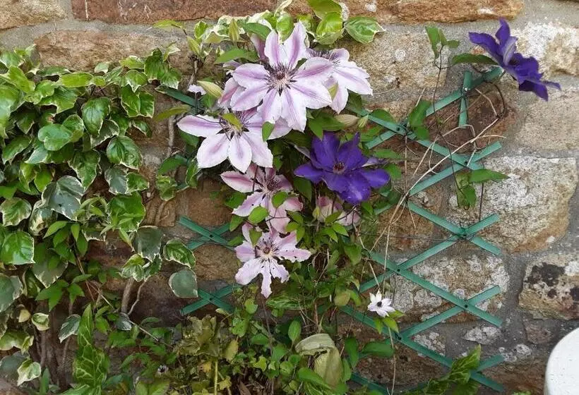 Aamiaismajoitus (B&B) Ty Evelyne 11 Kernevez Botmeur