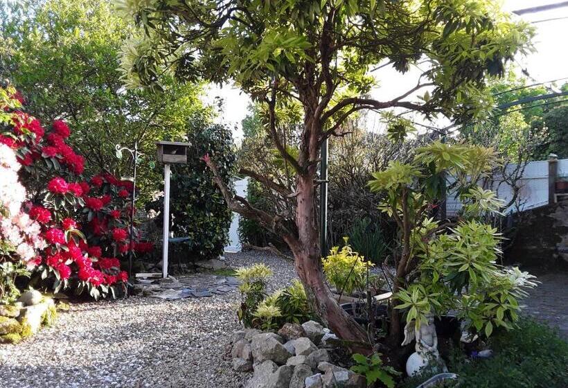 住宿加早餐 Ty Evelyne 11 Kernevez Botmeur