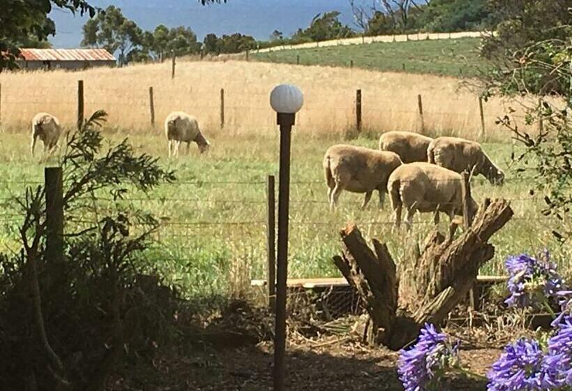 צימר Cape View B And B