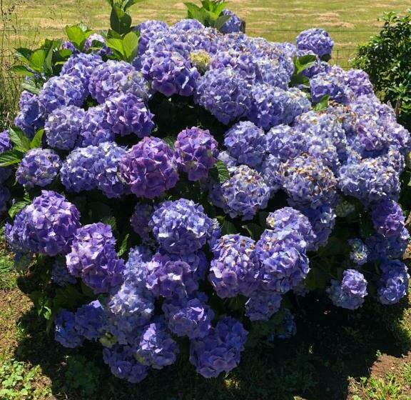 צימר Cape View B And B