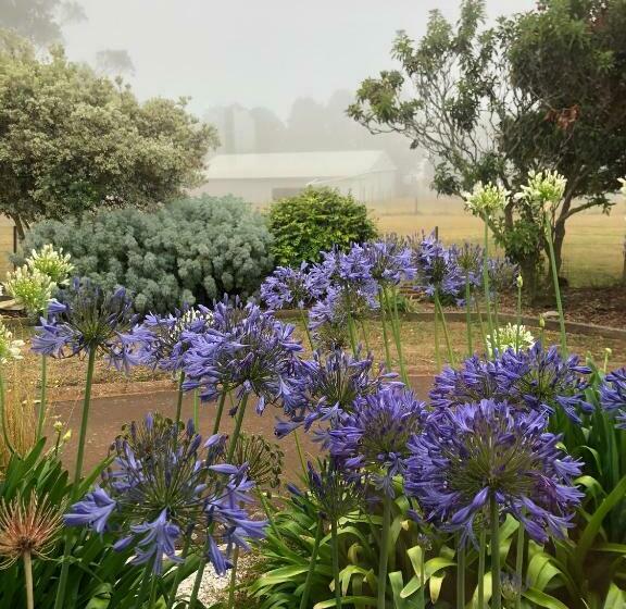 צימר Cape View B And B