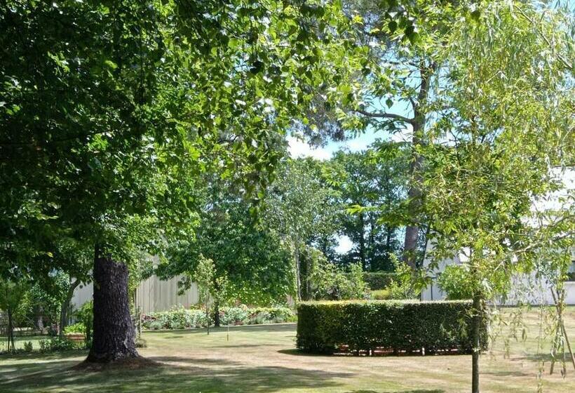 ベッドアンドブレックファースト Chambre Chez L Habitant