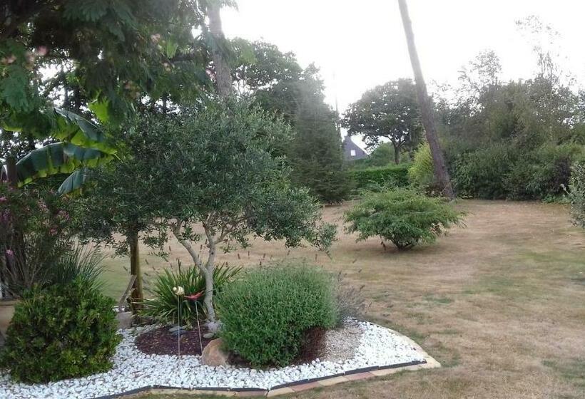 ベッドアンドブレックファースト Chambre Chez L Habitant