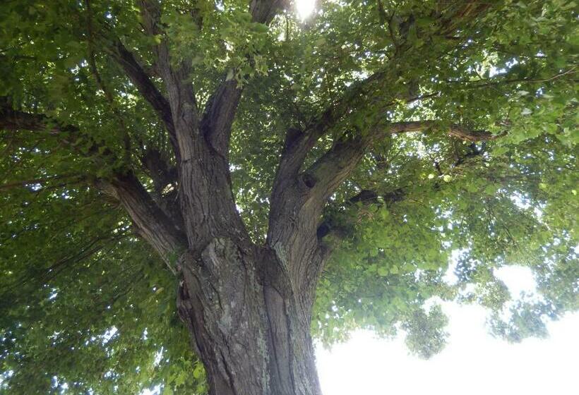 مبيت وإفطار Les Quatre Saisons