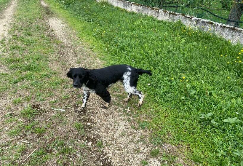 مبيت وإفطار Maison D’izier