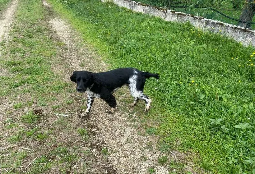 Aamiaismajoitus (B&B) Maison D’izier