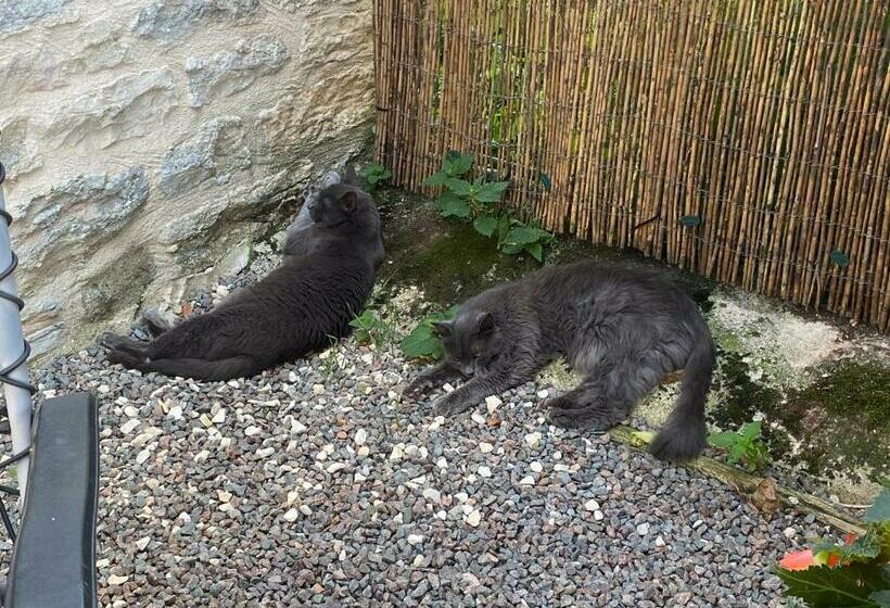 مبيت وإفطار Maison D’izier