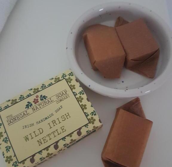 ベッドアンドブレックファースト Malin Head Solastobann Arthouse Room 1 En Suite