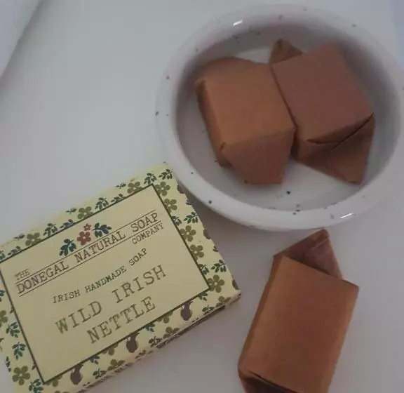 Aamiaismajoitus (B&B) Malin Head Solastobann Arthouse Room 1 En Suite