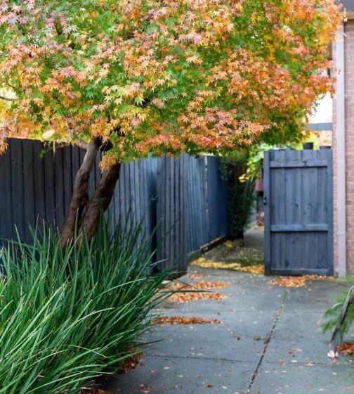 住宿加早餐  Modern & Homely Comfort