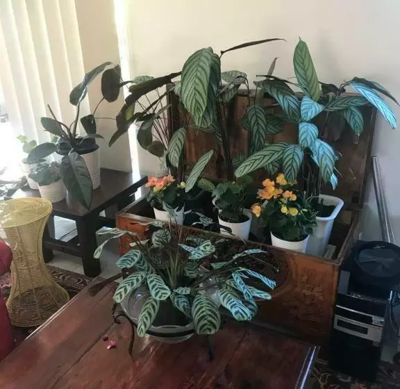 Aamiaismajoitus (B&B) Not Quite The Ritz