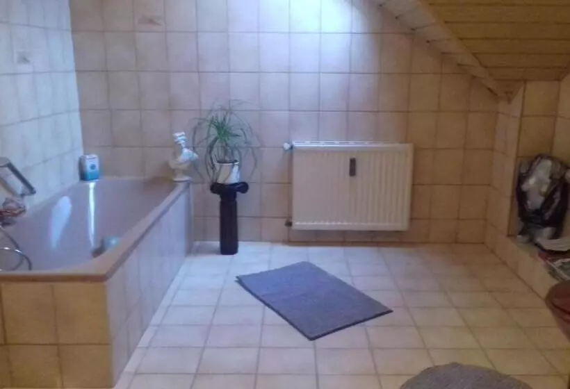 ペンション Gästehaus Sonnenhöhe   Ihre Erlebnis Programm Schmiede
